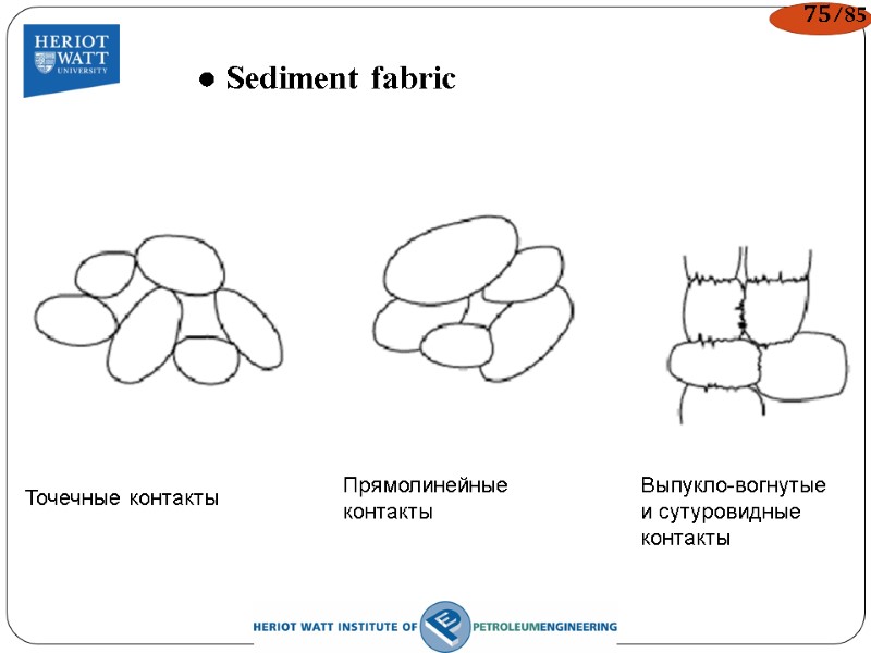 ● Sediment fabric  Точечные контакты Прямолинейные  контакты Выпукло-вогнутые и сутуровидные контакты 75/85